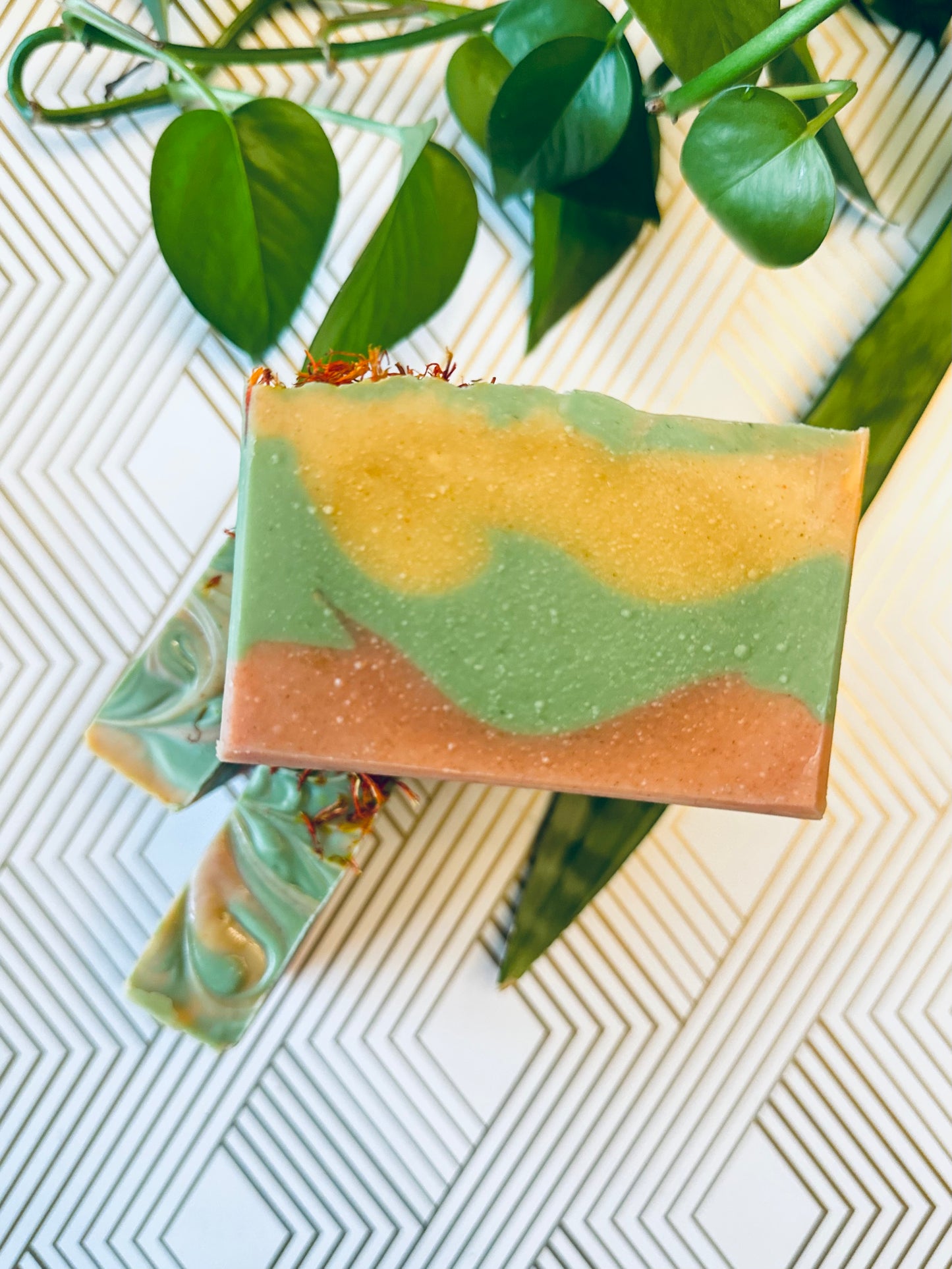 Arizona Desert Hemp Seed Body Bar