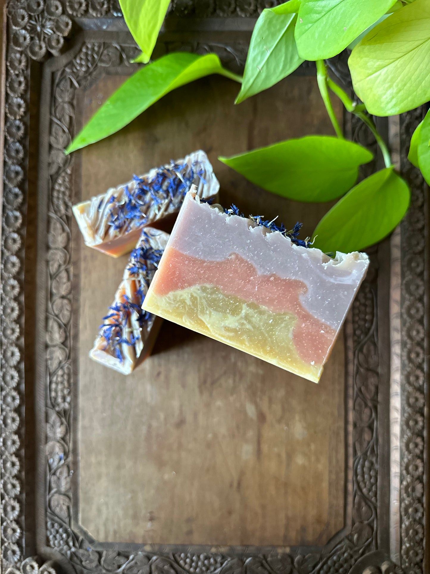 Summer Citrus Body Bar